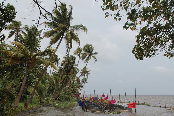 Best of Kerala - Tour Inclusions
