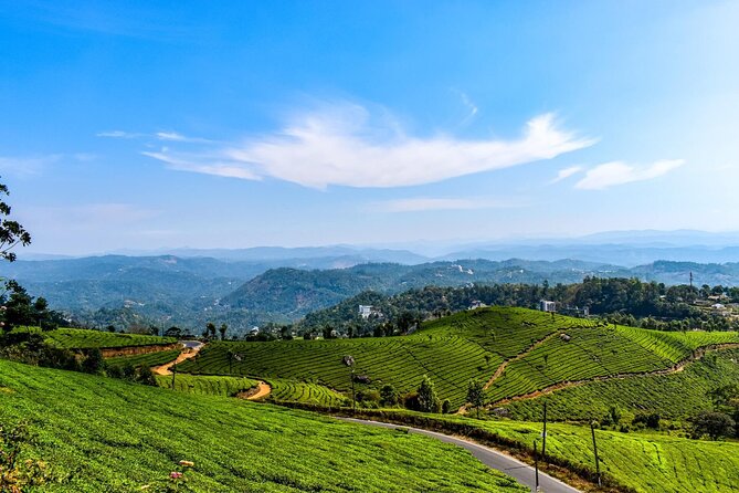 Best of Kerala Tour (Exclusive Private Tour) - Periyar Nature Reserve