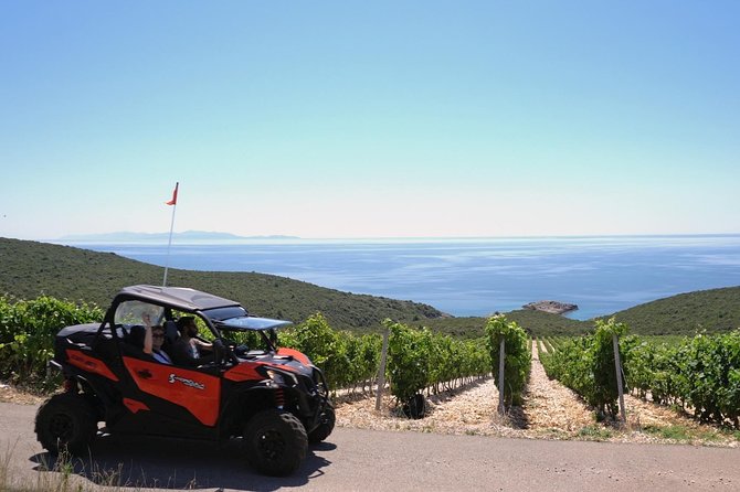 Best of Korcula Island Winerys by 4X4 Canam Buggys - Powerful CAN-AM MAVERICK Buggies