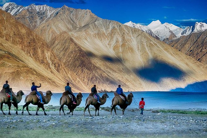 Best Of Ladakh - Accommodation and Transportation