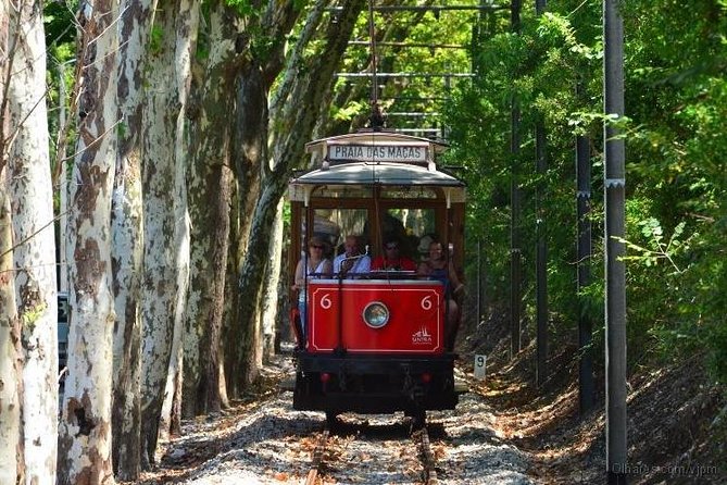 Best Of Lisbon Semi-Private Tour - Booking Information