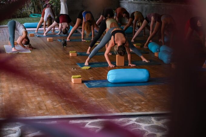 Best of Lovina North Bali: Yoga Retreat - Customer Feedback