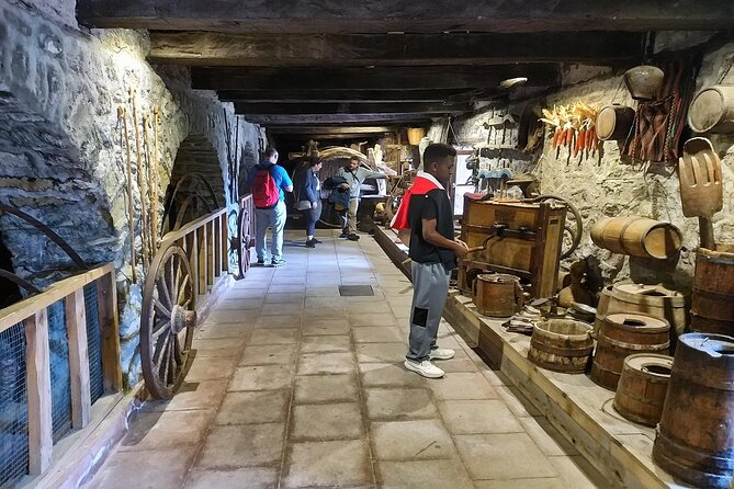 Best of Mainland Greece In-depth Cultural Tour - Customer Reviews