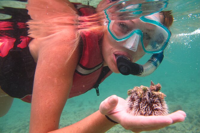 Best of Mangrove Lagoon Kayak, Hike and Snorkel Adventure With Picnic Lunch - Explore the Mangrove Lagoon