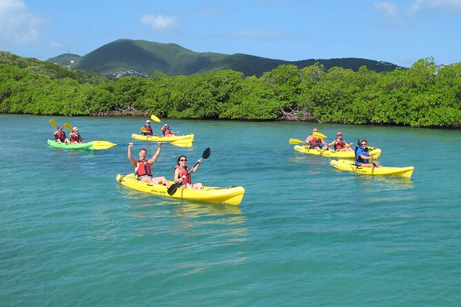 Best of Mangrove Lagoon Kayak, Hike and Snorkel Adventure With Picnic Lunch - Guided Instruction and Knowledge