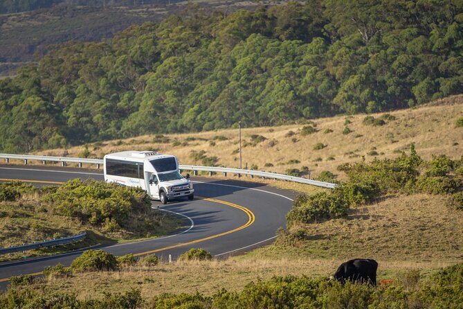 Best of Maui Haleakala, Iao Valley & Central Maui - Discover Wailukus Heritage and Culture