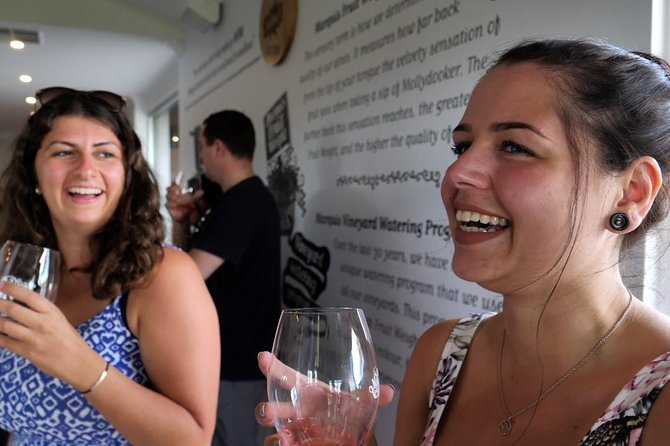 Best of Mclaren Vale: E-Bike and Wine Tour (2 Options Available) - Local Insights Provided