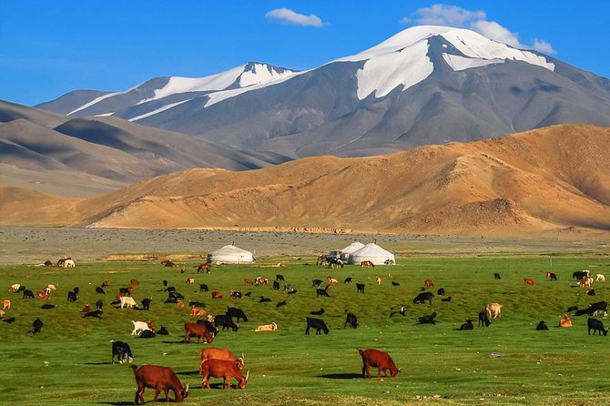 Best of Mongolian Tour 7 Days - Pickup Arrangements