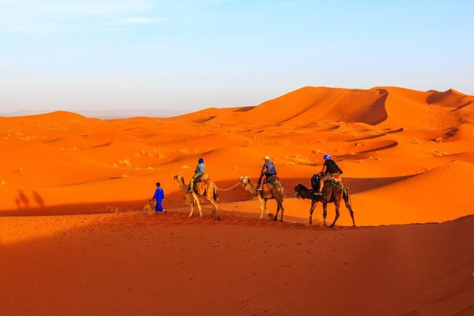 Best of Moroccan Sahara: 5-Day Guided Tour From Marrakech - Inclusions and Exclusions