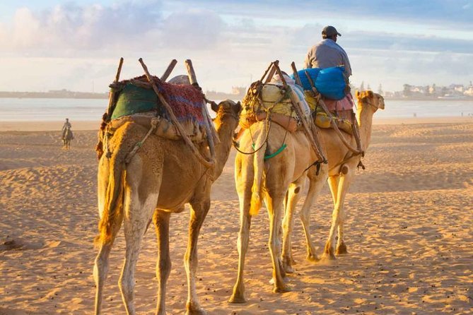 Best of Morocco Tour (15 Days) - Duration and Dates