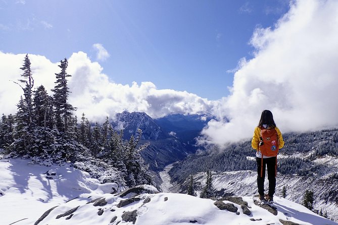 Best of Mount Rainier National Park From Seattle: All-Inclusive Small-Group Tour - Seasonal Equipment and Attire