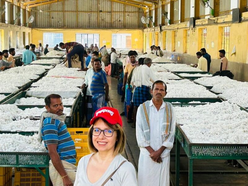 Best of Mysore/Mysuru, Somnathpur & Srirangapatna in a Day - Pickup and Breakfast