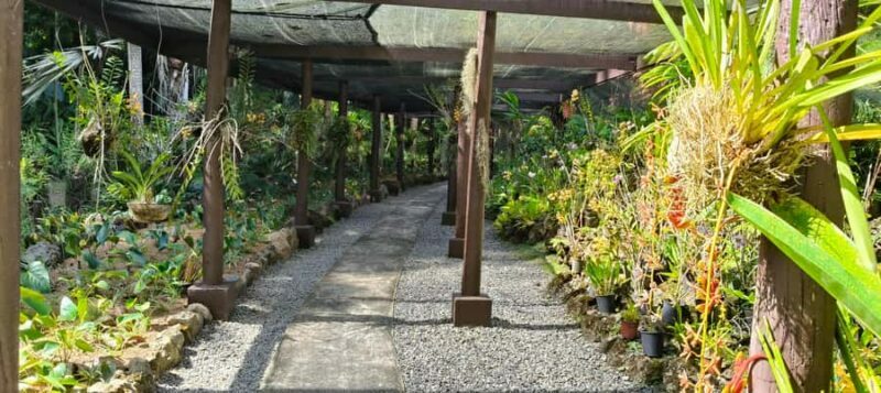 Best of Nadi Highlights - Final Thoughts: The Real Value of the Nadi Highlights Tour