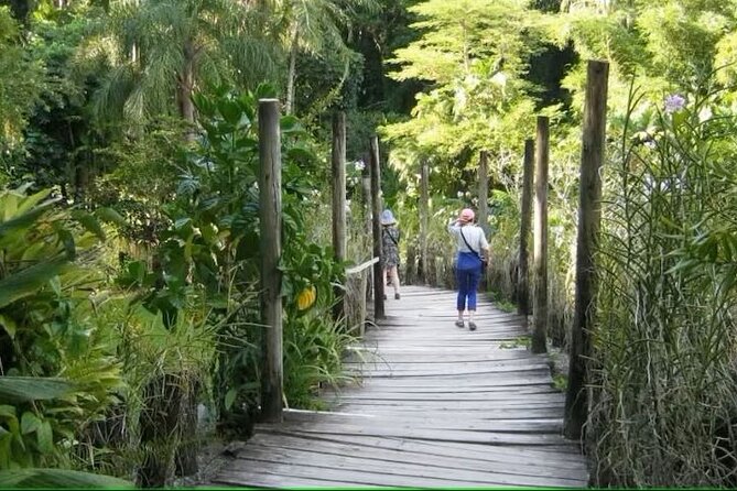 Best of Nadi Highlights - Local Market Exploration