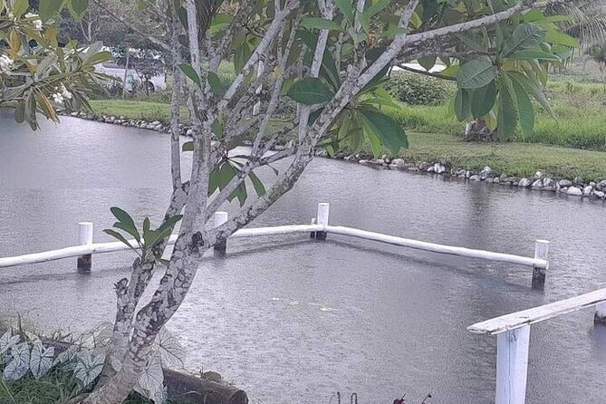 Best of Nadi Highlights - Village Cultural Immersion