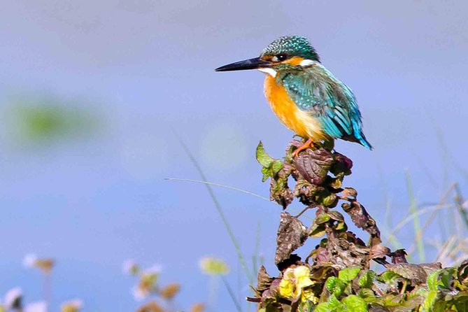 Best of Nepal Luxury Adventure Tour Package - 9 Days - Key Points