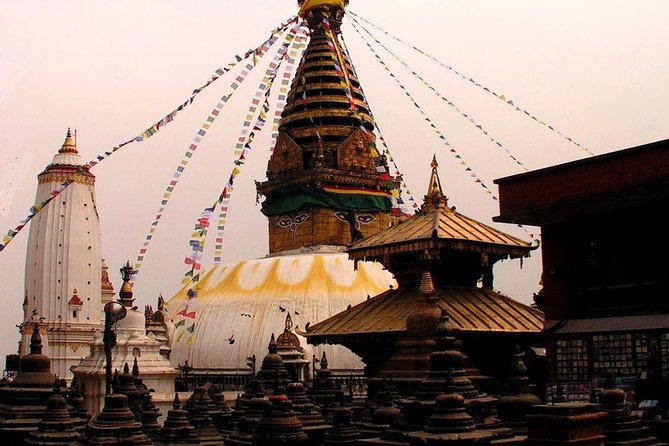 Best of Nepal Luxury Tour Package - 8 Days - Chitwan Experiences