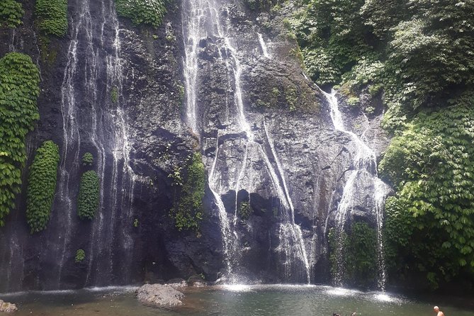 Best of North Bali Instagrammable Tour - What to Expect