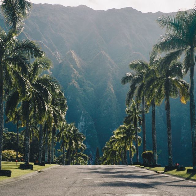 Best of Oahu in One Day - Scenic Oahu Adventure