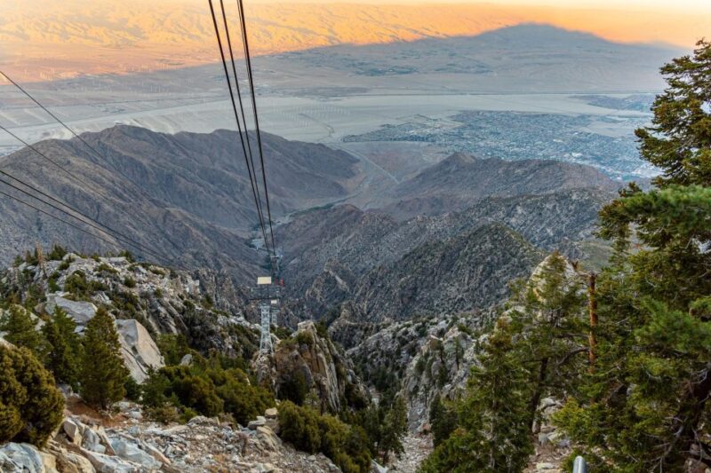 Best of Palm Springs Small Group Tour W/ Aerial Tram - Aerial Tram Experience