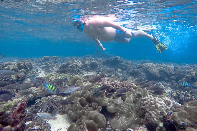 Best of Phi Phi Islands Snorkeling Tour From Phuket - Snorkeling and Swimming
