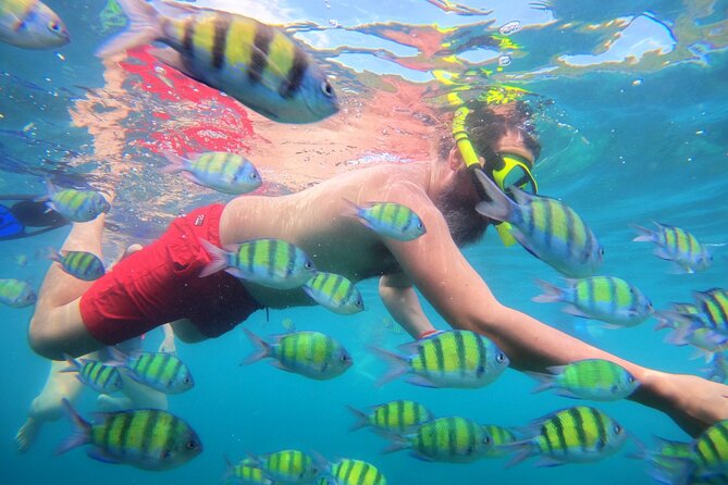 Best of Phi Phi Islands Snorkeling Tour From Phuket - Accident Insurance Coverage