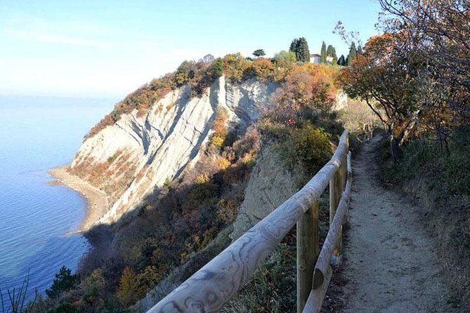 Best of Piran, Portoroz, Strunjan, Izola, Koper (PRIVATE V.I.P. TOUR) - Traveler Requirements