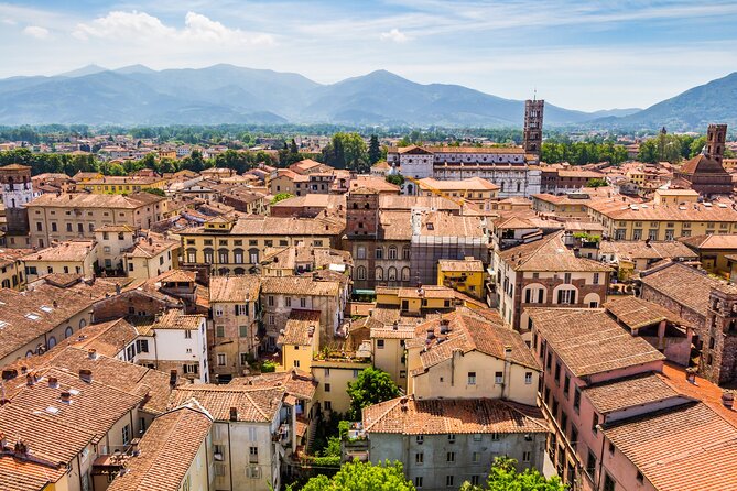 Best of Pisa & Lucca in 8 Hours - From Florence - About the Tour Operator