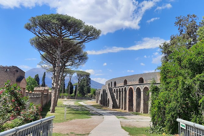 Best of Pompeii - 2 Hour Private Tour With Alex - Meeting and Pickup Arrangements