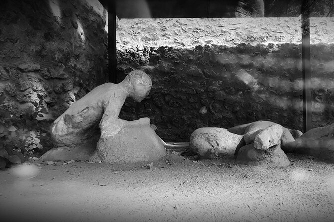 Best of Pompeii - 2 Hour Private Tour With Alex - Tour Duration and Type