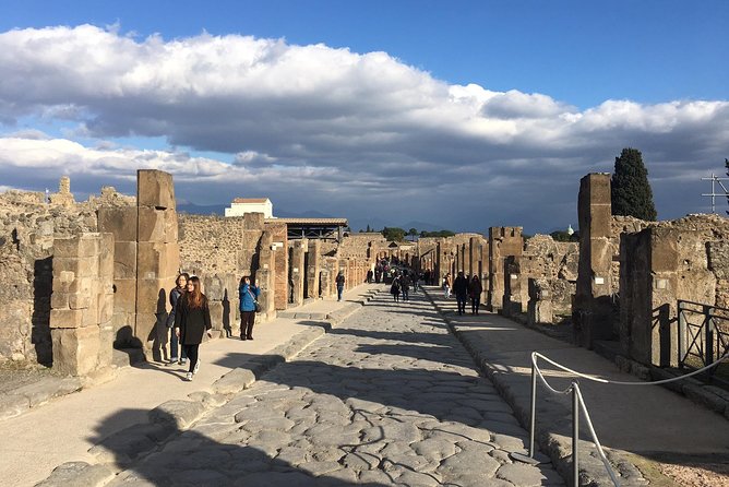 Best of Pompeii and Herculaneum With an Expert Archaeologist - Accessibility and Additional Information
