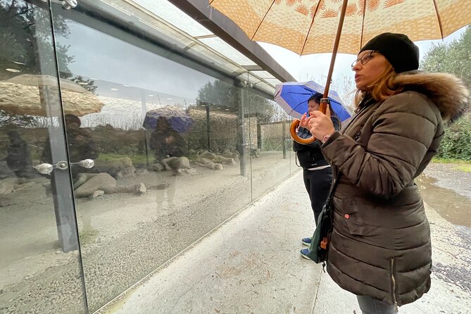 Best of Pompeii Small Group Guided Tour With Tickets - Practical Information