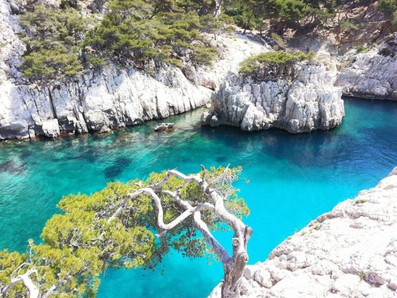 Best of PROVENCE : Aix-En-Provence+Cassis & Wine Tasting Day - Cassis: Ancient Fishing Village