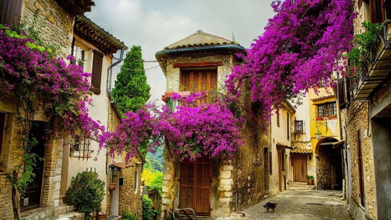 Best of PROVENCE : Aix-En-Provence+Cassis & Wine Tasting Day - Exploring the Calanques