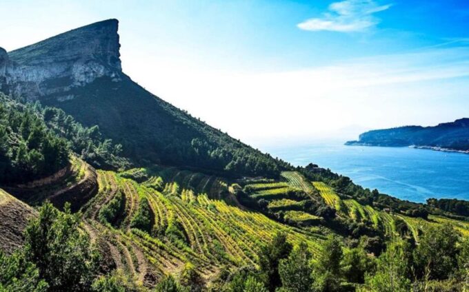 Best of PROVENCE : Aix-En-Provence+Cassis & Wine Tasting Day - Tasting Cassis AOC Wines