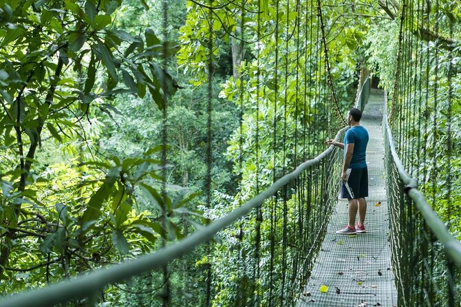 Best of Puntarenas & Highlights 6 in 1 - Puntarenas Private Tour - Key Points