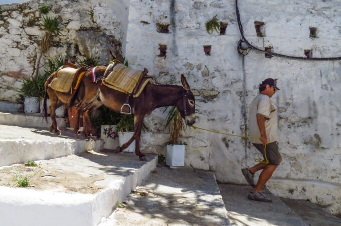 Best of Rhodes and Lindos Private Tour - Max 4 People - Additional Information