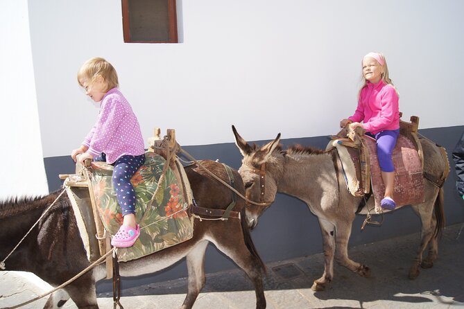 Best of Rhodes Tour Including Lindos and Medieval City - Ceramic Workshop Experience