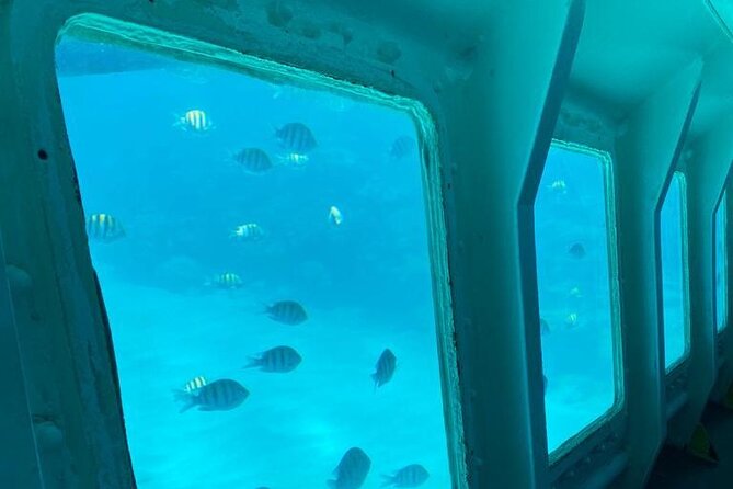 Best of Roatan by Land and Sea - Convenient Transportation and Pickup