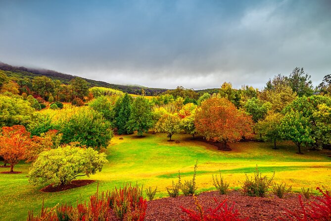 Best of SA Hahndorf & Victor Harbor McLaren Vale Full Day Join Us - Scenic Drive Through Adelaide Hills