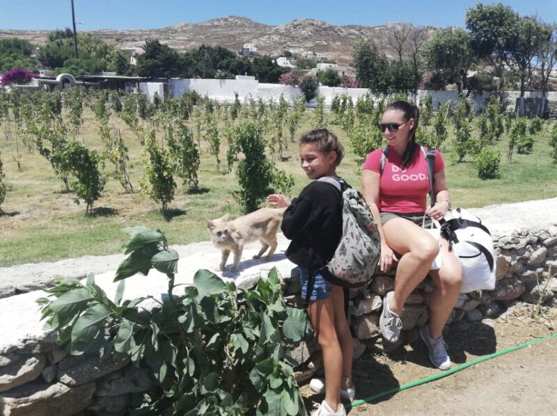 Best of Santorini Private Tour With Wine Tasting - Key Points