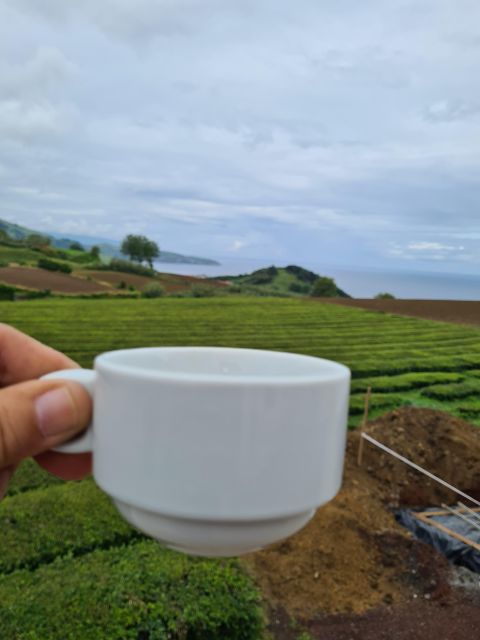 Best of São Miguel 2 Days Private Tour - Ponta Da Ferraria: Photo Stop and Swimming
