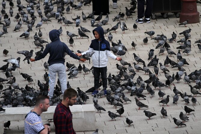 Best of Sarajevo - Full Day All Inclusive Tour - Accessibility Considerations