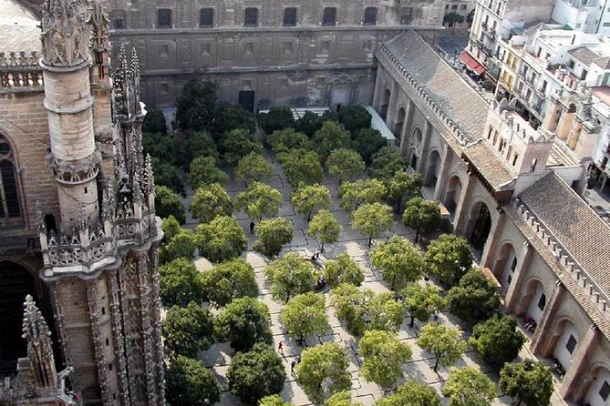 Best of Seville Walking Guided Tour Tour (All Tickets Included) - Accessibility