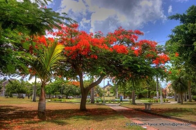 Best of St. Kitts Private Half Day Tour - Private and Customized Experience