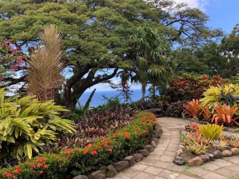 Best of St. Kitts Tour - Key Points