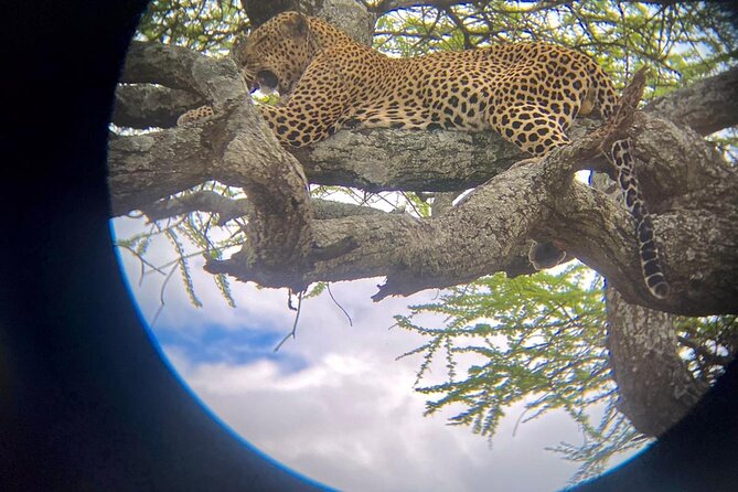 Best of Tanzania 5days 4nights Safari - Accommodation and Meals