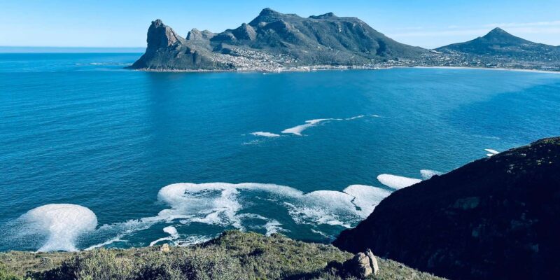 Best of the Cape : Full Day Group Tour - Key Points