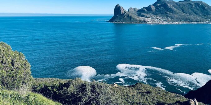 Best of the Cape : Full Day Group Tour - Transportation and Accessibility