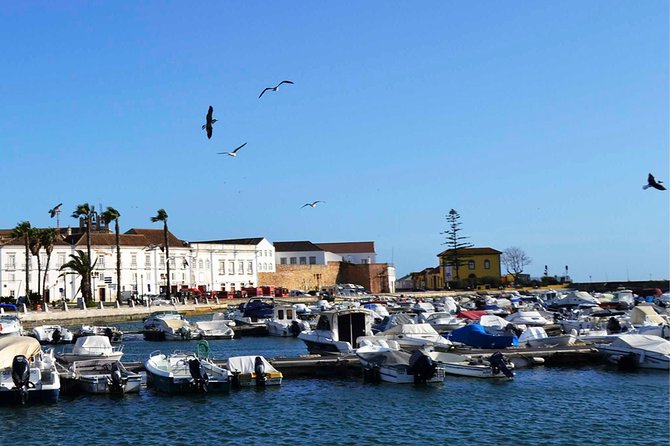 Best of the East: Faro, Olhão, Tavira, and Vila Real De Santo António - Customer Reviews and Feedback
